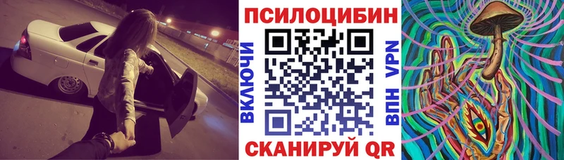 blacksprut ссылка  Карабулак  Псилоцибиновые грибы Cubensis 